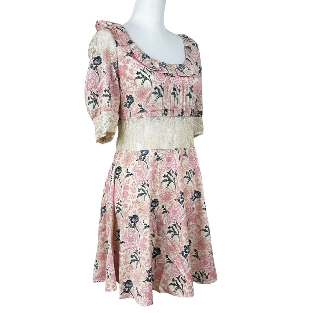 NWT Alamia Floral Lace Cream & Pink Mini Dress Boutique Romantic Coquette Girly - Picture 7 of 16